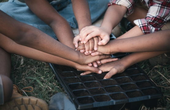 Connect families to children and their workers